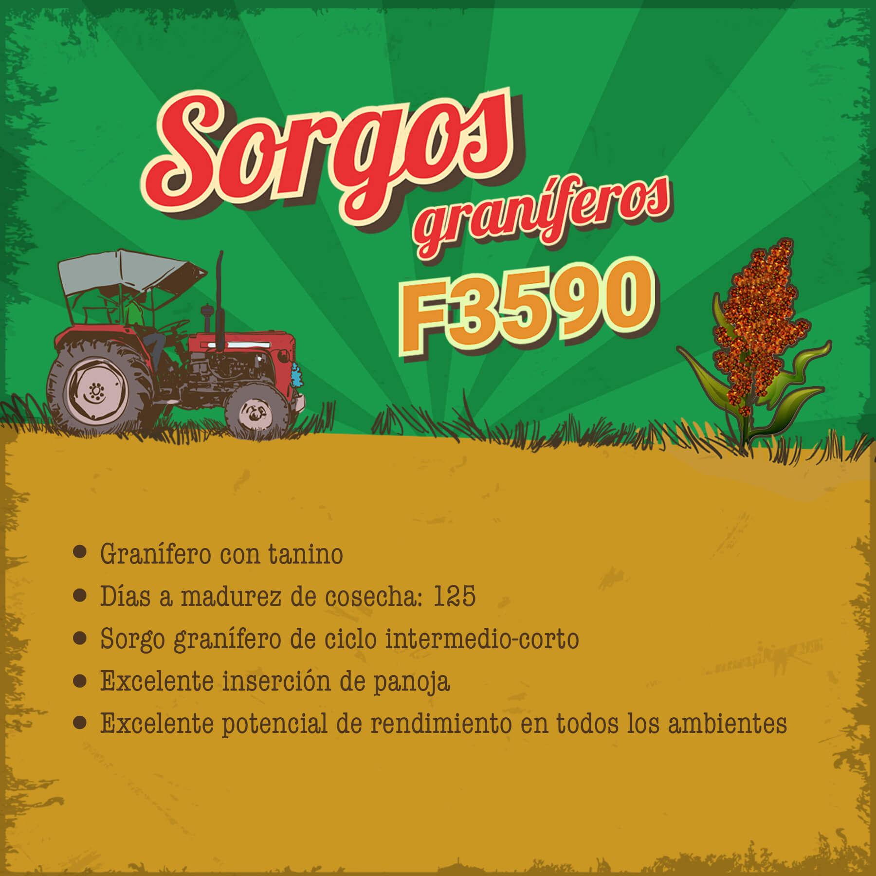 Graníferos F3590