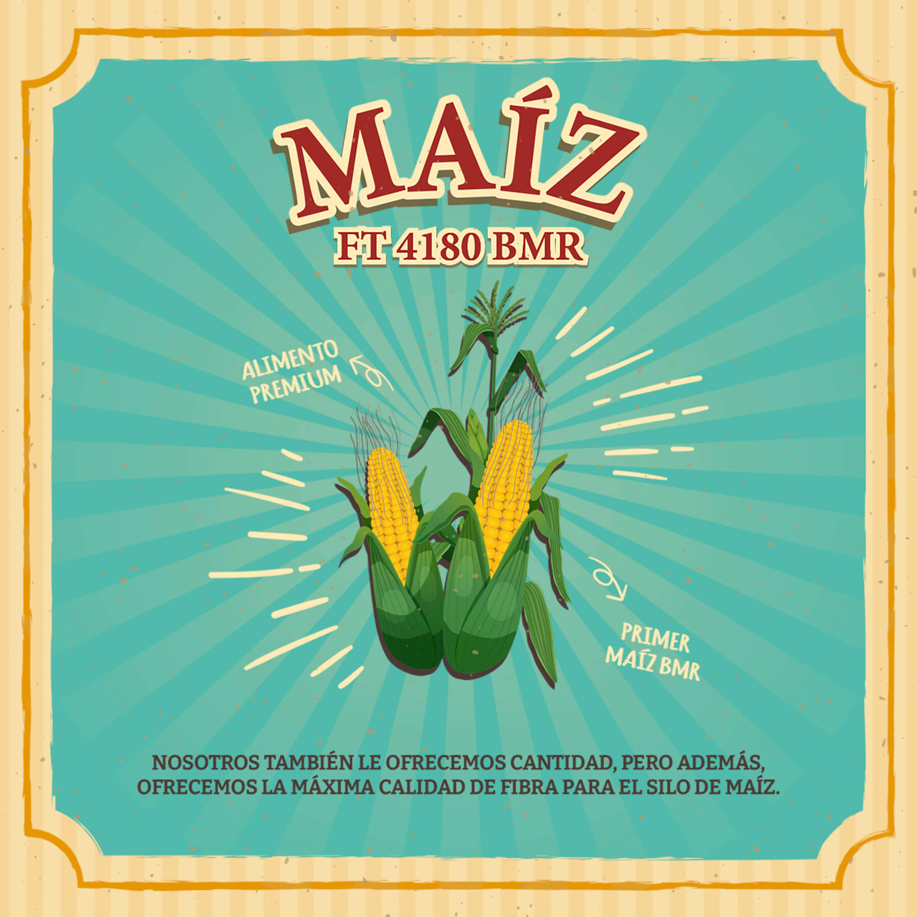 Maíz FT 4180 MBR