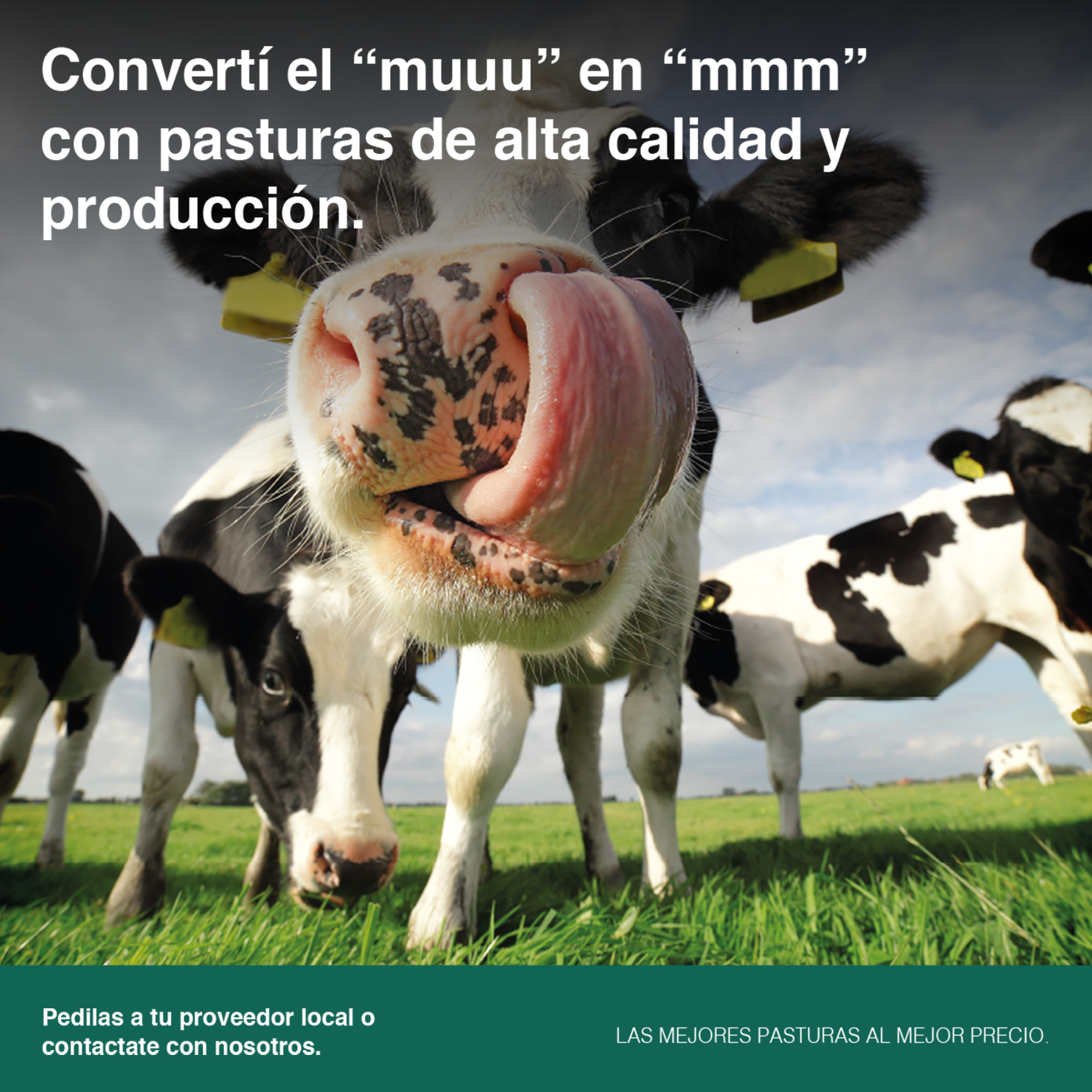 Pasturas
