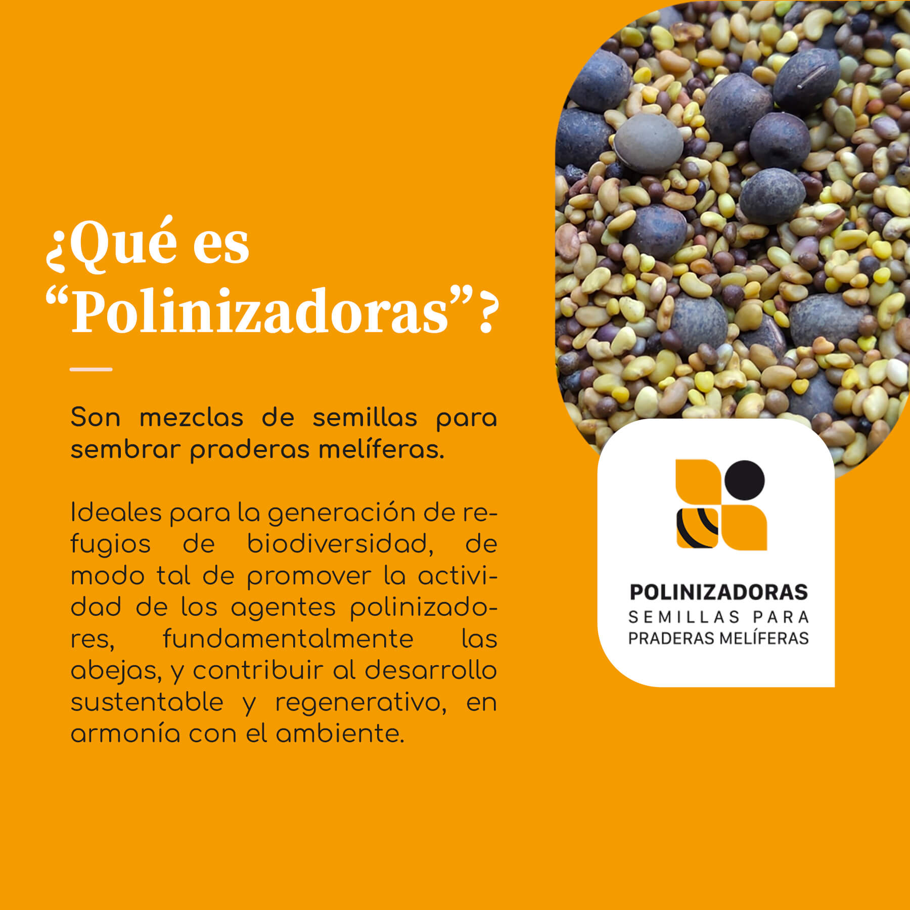 Polinizadoras